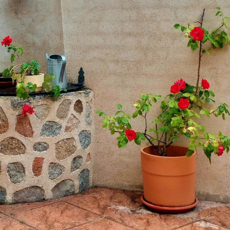 Casa Rural Abuela Reme El Fresno Bagian luar foto